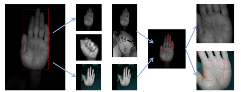 Understanding Palm Vein Modules: Why RGB+IR is Crucial for High-Security Payment Systems