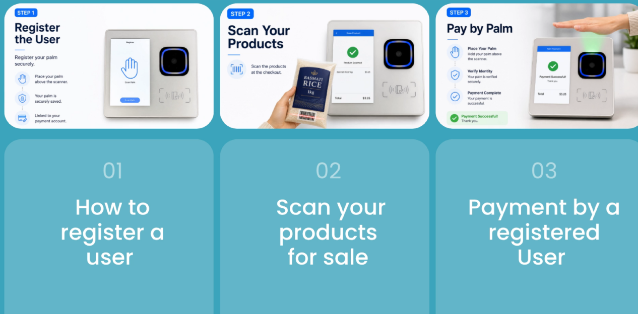 Typical Palm Payment Flow