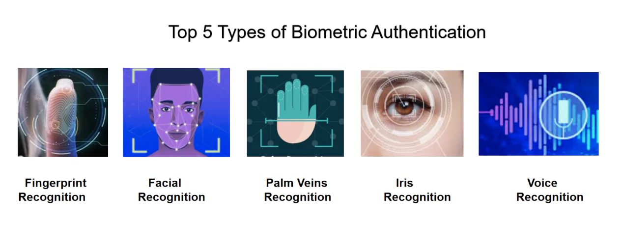 What are 2 examples of biometric?