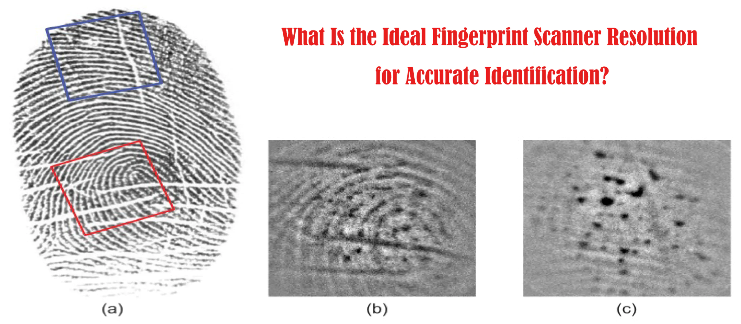 What Is the Ideal Fingerprint Scanner Resolution for Accurate Identification?