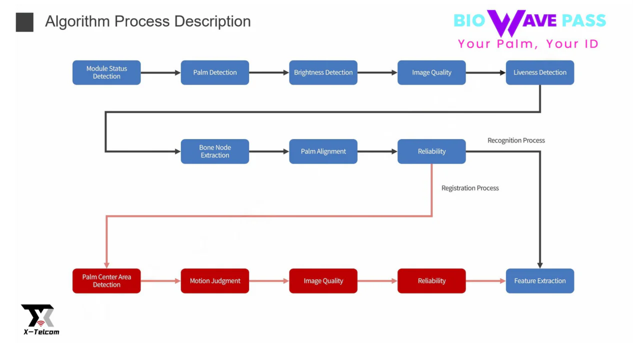 X-Telcom BioWavePass palm vein registration and recognition algorithm workflow