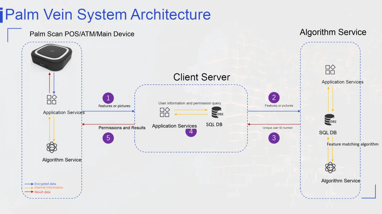 Flowchart of BioWavePass's Large-Scale Model Palm Vein Algorithm