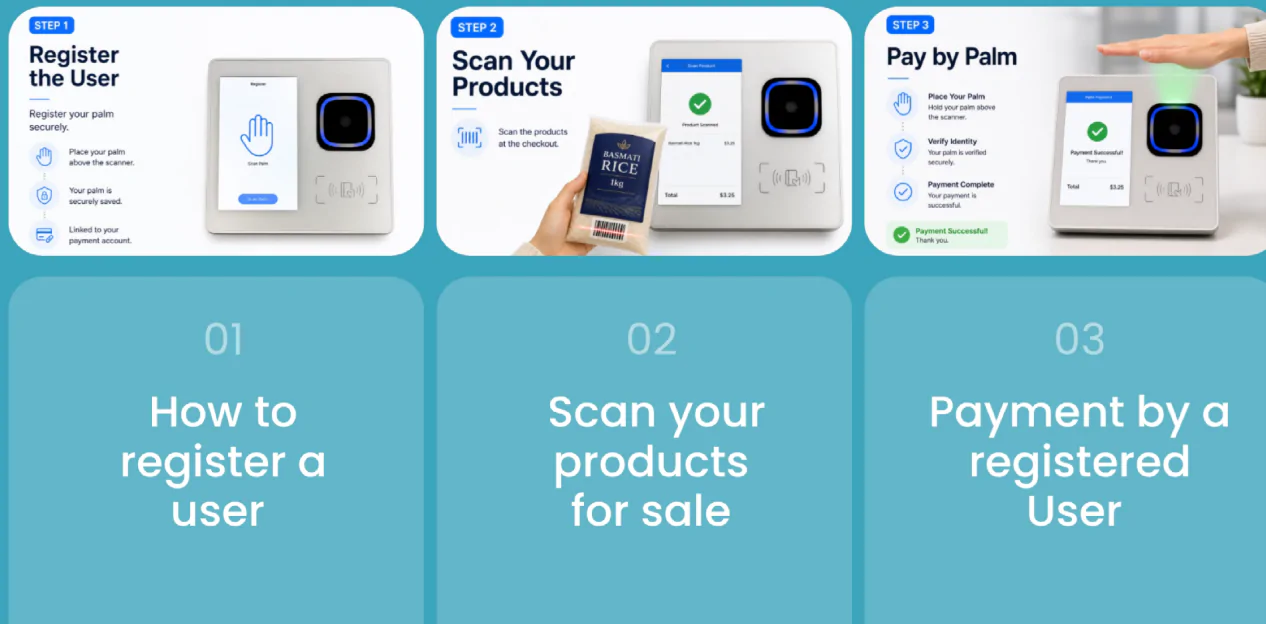 Typical Palm Payment Flow
